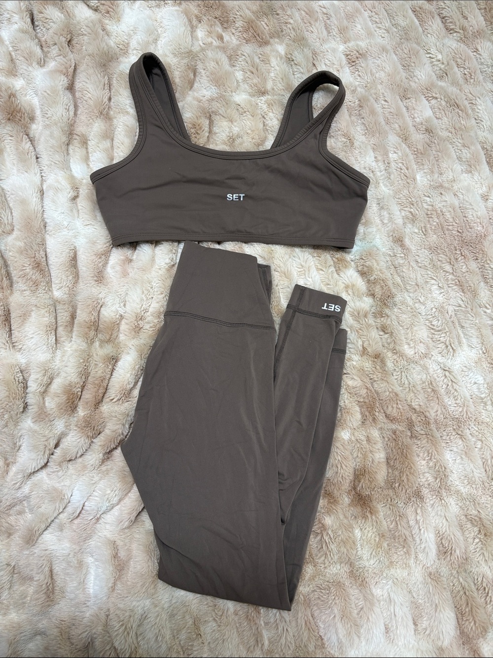 SET Brown Activewear Sports Bra and Leggings